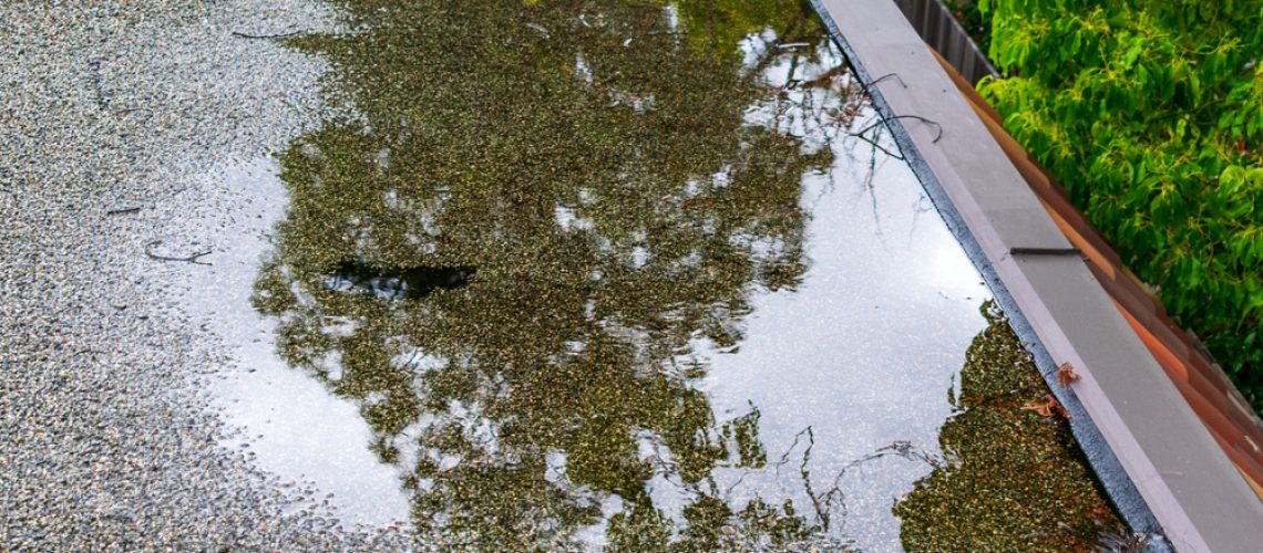 Ponding standing water on a flat roof after heavy rain